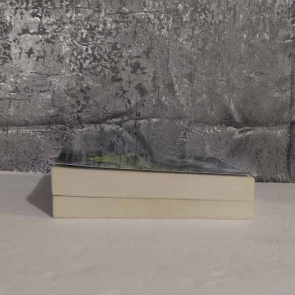 2 Books, By Susan Beth Pfeffer. This World We Live In. The dead & The Go… - Picture 9 of 9